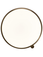 Потолочный светильник Zortes Gimpel ZRS.1209.17