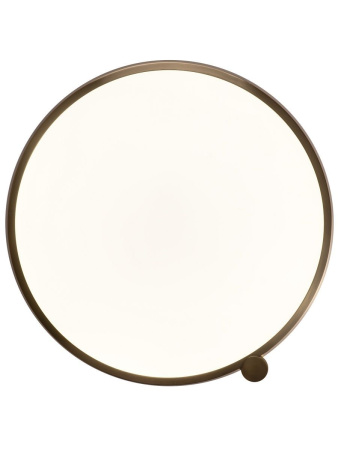 Потолочный светильник Zortes Gimpel ZRS.1209.17