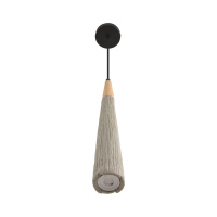Подвесной светильник Lumion Suspentioni Eoliana 8351/1C
