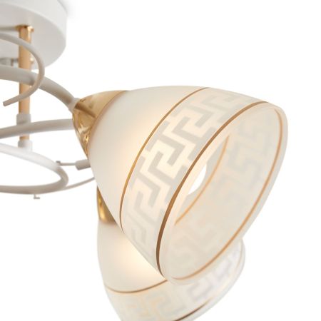 Потолочная люстра Freya Entle FR5465CL-05W