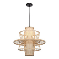 Подвесной светильник ST Luce Alma SL6241.513.01