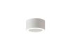 Потолочный светильник Crystal Lux CLT 074C WH