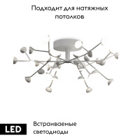 Потолочная светодиодная люстра Mantra Adn 6415