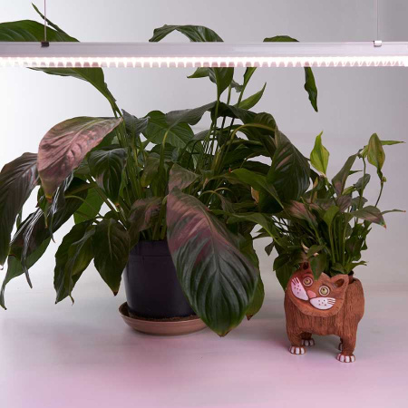 Светодиодный светильник для растений Feron AL7002 41354