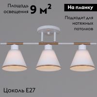 Потолочная люстра Reluce 07594-0.3-03 WG
