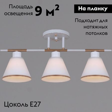 Потолочная люстра Reluce 07594-0.3-03 WG