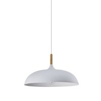 Подвесной светильник Moderli Hygo V11447-1P