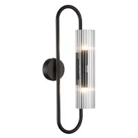 Настенный светильник Lumion Toronto 6561/2W