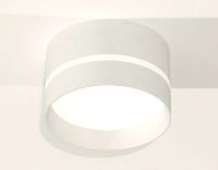 Комплект накладного светильника Ambrella light Techno Spot XS (C8101, N8461) XS8101020
