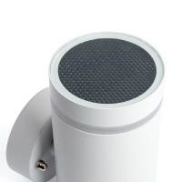 Уличный настенный светильник Feron Рио 48315