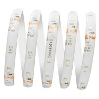 Светодиодная лента Apeyron 12В СТ 4,8Вт/м smd3528, 60д/м IP65 5м желтая 00-05