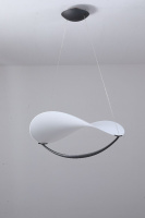 Подвесной светильник Zortes Quincy ZRS.1585.13