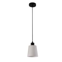 Подвесной светильник Escada Clarity 120004/1P Black ES0000041