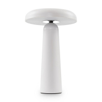Настольная аккумуляторная лампа Freya Mushroom FR6109TL-L4W