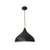 Подвесной светильник Arte Lamp Kayla A7101SP-1BK
