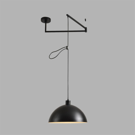 Подвесной светильник Lumion Moderni Armina 8321/1C