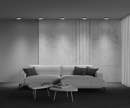 Потолочный светильник Maytoni Technical Points C066CL-12W3-6K-B