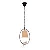 Подвесной светильник Loft IT Loft1029A-1