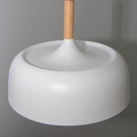 Подвесной светильник Arte Lamp Kayla A7102SP-1WH