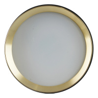 Потолочный светильник Feron Barrel DUET HL459 52021