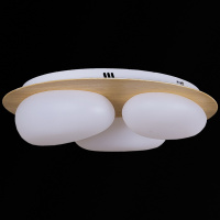 Потолочная люстра Reluce 10009-0.3-60W AEROLITE