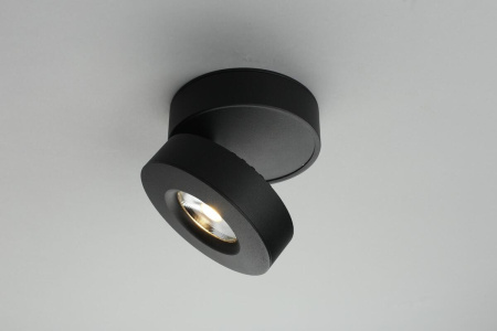 Спот Omnilux  OML-101919-12