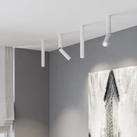 Светодиодный спот Elektrostandard Pika 25029/Led белый a061108