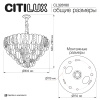 Подвесная люстра Citilux Hasienda CL328180