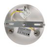 Подвесной светильник Freya Tint FR5179PL-06W