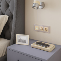 Сенсорный выключатель двухклавишный с функцией Wi-Fi Werkel шампань W4520611