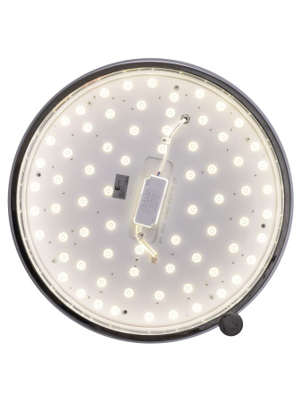 Потолочный светильник Zortes Gimpel ZRS.1209.15