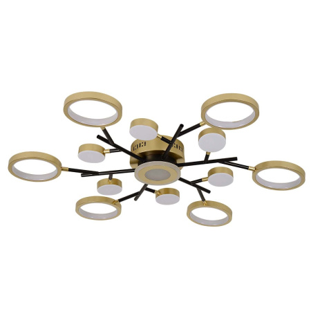 Потолочный светильник F-Promo Hybrid 4686-13C