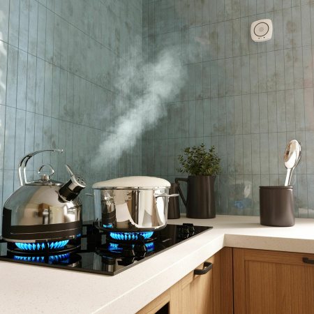 Датчик газа Wi-Fi Elektrostandard 76250/00