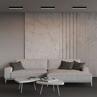 Линейный светильник Maytoni Technical LL311025