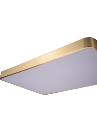 Потолочный светильник Zortes Monna ZRS.1209.09