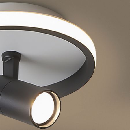 Потолочный светильник Freya Neo FR6040CL-L14B