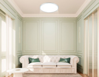 Потолочный светильник Ambrella Light Orbital FZ1720