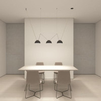 Комплект ременной трековой системы Denkirs Belty Set DK55SET01-01-LG