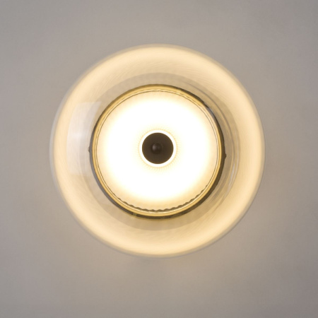 Настенно-потолочный светильник Lightstar Palermo 612017