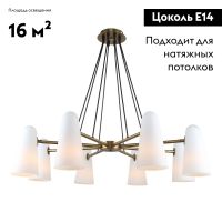 Подвесная люстра Favourite Vision 2763-8P