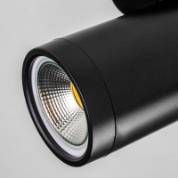 Спот Lightstar Rullo 213407