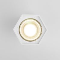 Накладной светодиодный светильник Elektrostandard 25036/LED 4690389176487