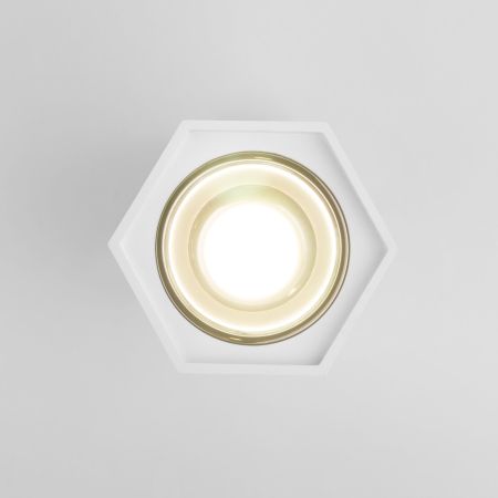 Накладной светодиодный светильник Elektrostandard 25036/LED 4690389176487