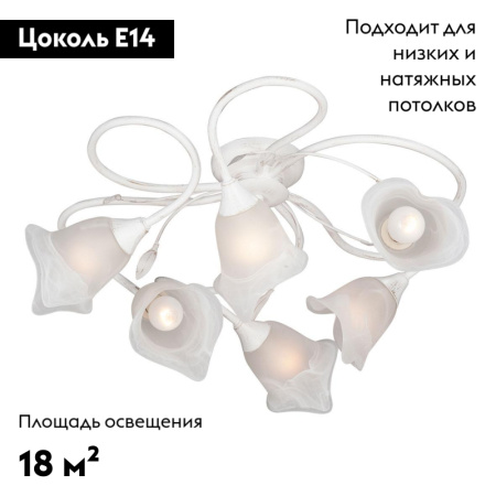 Потолочная люстра Vitaluce V3262-0/6PL