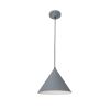 Подвесной светильник Arte Lamp Lark A7103SP-1GY