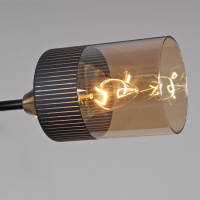 Потолочная люстра Reluce 48460-0.3-08 BK+COPPER