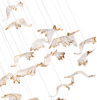 Подвесная люстра Stilfort Мэджик Лайн 2203/05/16PL