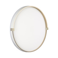 Настенно-потолочный светильник Sonex Pale Olidi White 7646/ELN