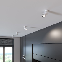 Накладной спот Elektrostandard Niro 4690389203251 25013/01 a065462