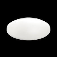 Потолочный светильник Sonex Pale Simple 3017/DLN